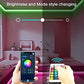 50ft 15M 5050 RGB Flexible Smart LED Strip Light 12V Christmas Festival Holiday Interior House Decoration APP Light Strings