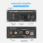 Fosi Audio Mono Amplifier Subwoofer Amp 100W With Bass Power Amplifier For Home Passive Speaker M04